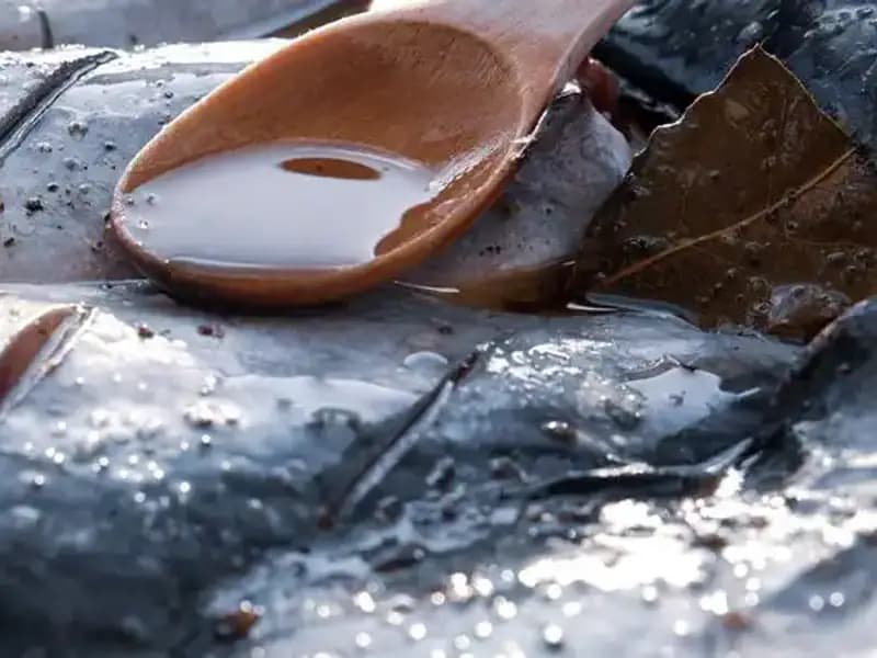 78 Yaşındaki Doktorun Gençleştirici 7 Besin Listesi Sizi Şaşırtacak!