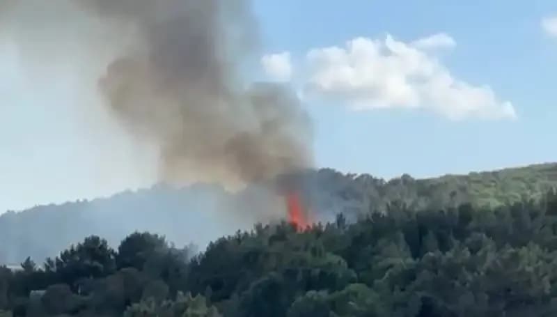 Aydos Ormanı'nda Korkutan Yangın Kontrol Altına Alındı: Ayrıntılar Burada!