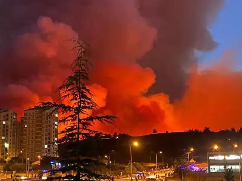 Bursa'daki Yangınlar: Şehri Tehdit Altına Alan Durum ve Son Gelişmeler