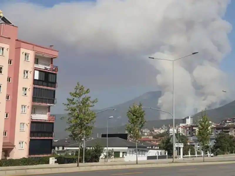 Denizli'de Şok Eden Orman Yangını: Bir Kişi Gözaltında