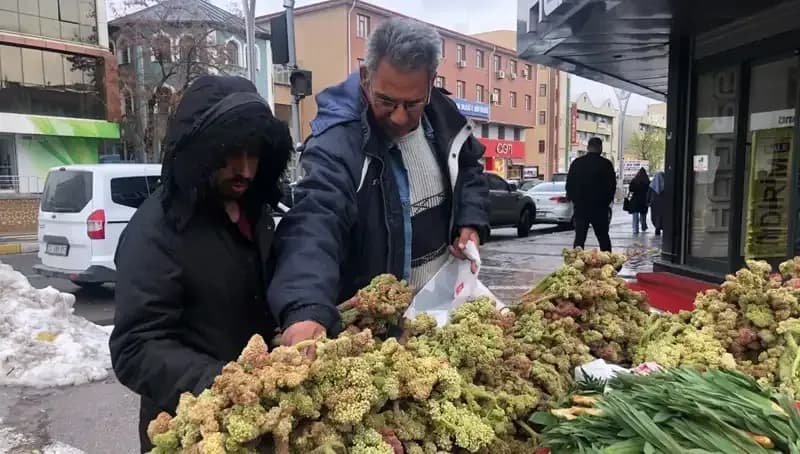 Kendiliğinden Yetişen Vitamin Deposunun Kanser Üzerindeki Etkisi