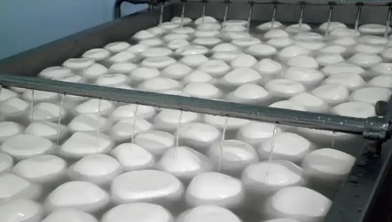 Gıda Güvenliği Alarmı: 60 Ürün Geri Çağrıldı, 9 Kişi Sağlık Sorunu Yaşadı