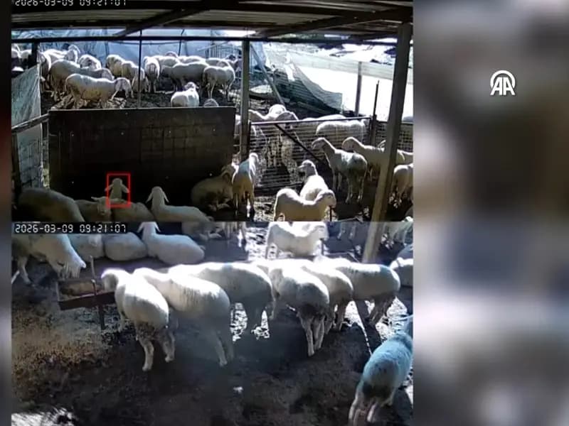 Denizli'de 5.1 Büyüklüğünde Deprem: Anı Kamerada Görüntülendi