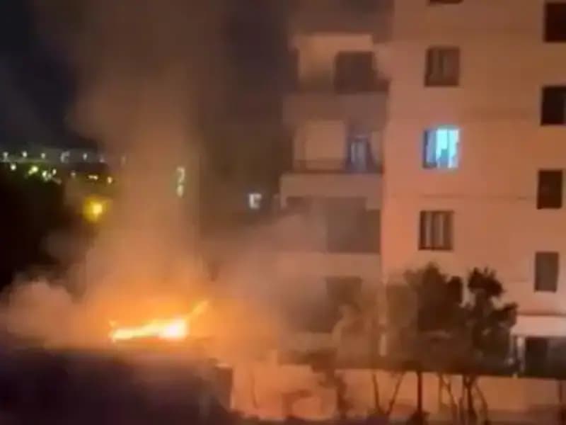 Elazığ'da Yangın Felaketi: Kümesin Yanmasıyla Tavuklar Telef Oldu