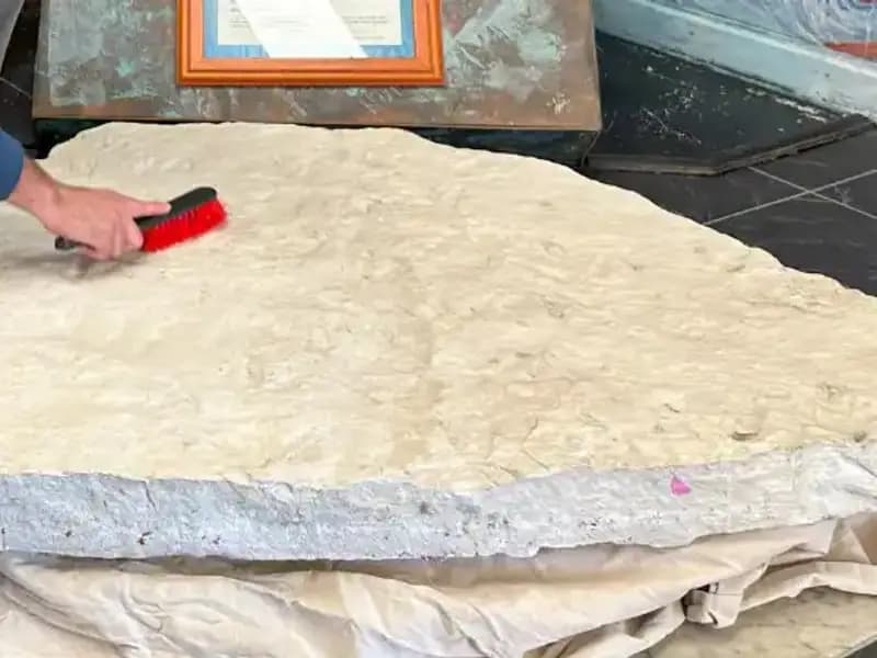 Okul Bahçesinde 200 Milyon Yıllık İnanılmaz Dinozor Ayak İzleri Keşfedildi!