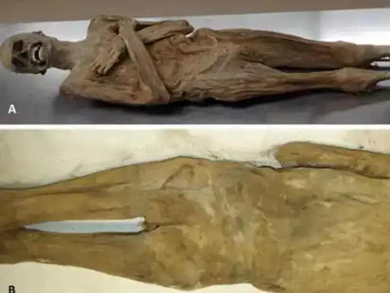 Eski Mısır’ın Gizemi Çözüldü: Kurutulmuş Papazın Mumyası İz Bıraktı!