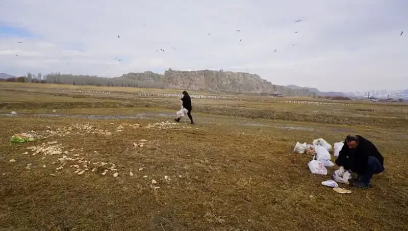 17 Yıldır Ekmek Kırıntısı Toplayan Adamın Duygusal Hikayesi