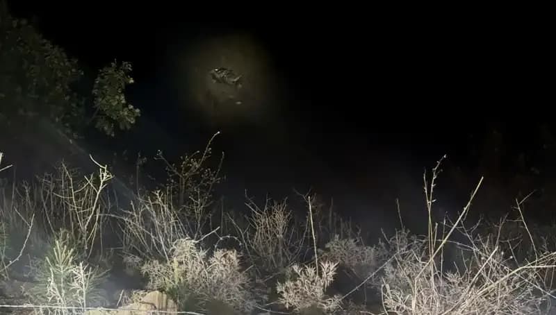 Kahramanmaraş'ta Feci Kaza: Uçuruma Yuvarlanan Araçta 1 Kişi Hayatını Kaybetti