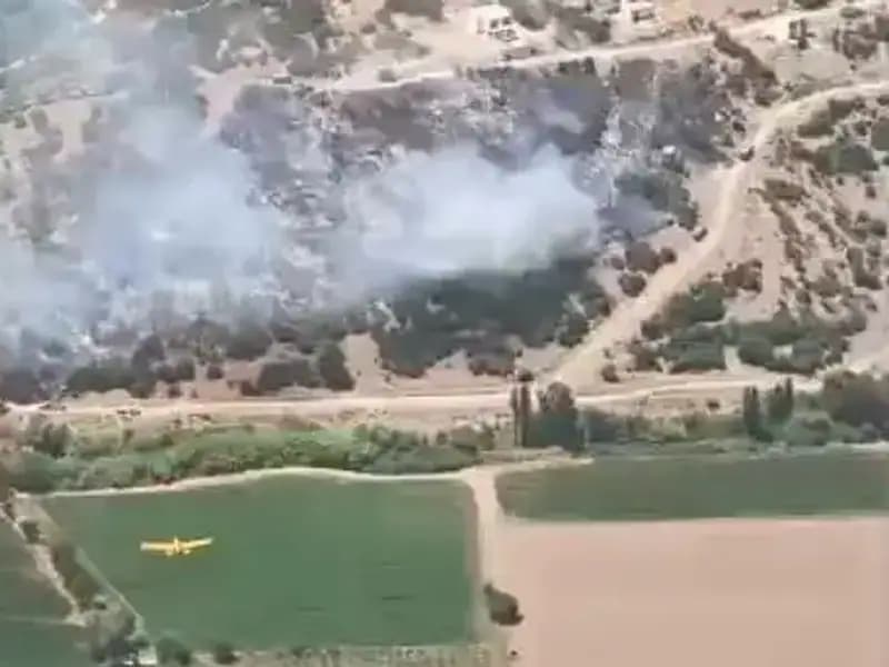 Milas'taki Yangın Kontrol Altına Alındı: Detaylar ve Son Gelişmeler