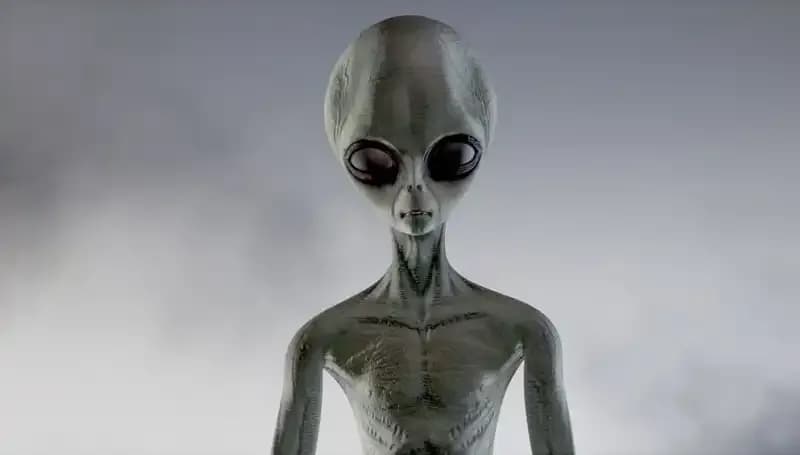 Pentagon Uzaylı Türleri Hakkında Şok Edici Açıklamalar Yaptı