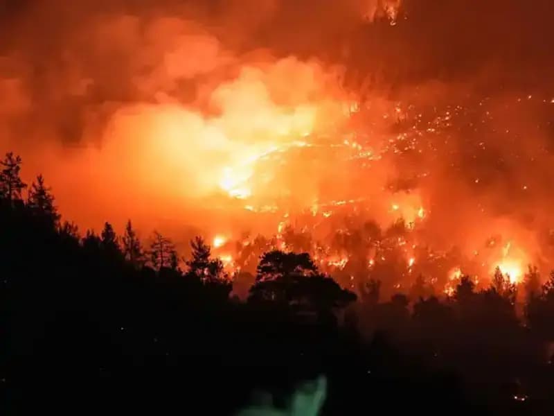 Bursa-Balıkesir Sınırındaki Orman Yangını Kontrol Altına Alındı