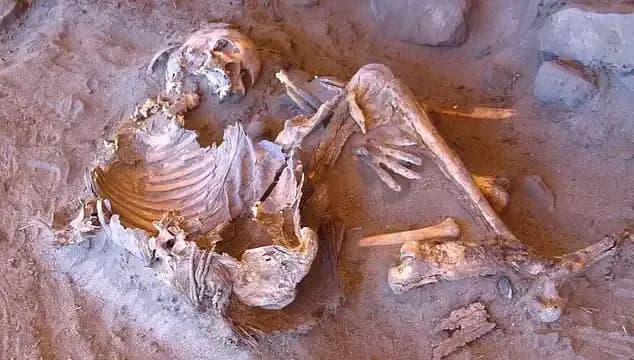 Yeni Mumya Keşfi: Antik Dünyanın Sırları ve İnsanlığın Soy Ağacı