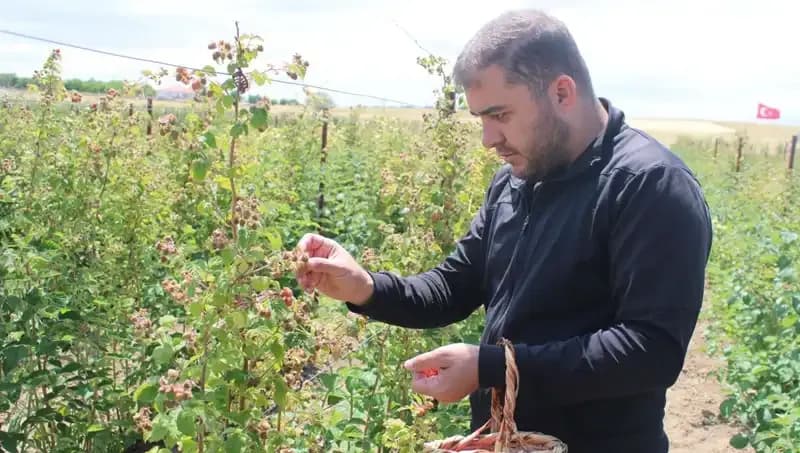 Hobi Olarak Başladı, Şimdi Talebe Yetişemiyor: İş Dünyasında Bir Başarı Hikayesi