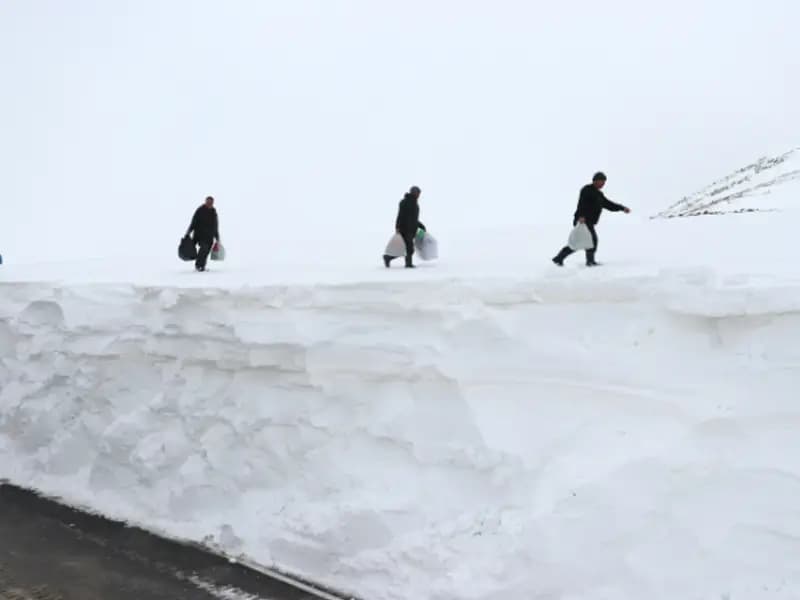 Ağrı'nın Tutak ve Hamur İlçelerinde Eğitime Kar Engeli