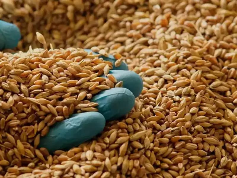 Kalp Hastalığı Riskini Azaltmanın 7 Beslenme Yolu