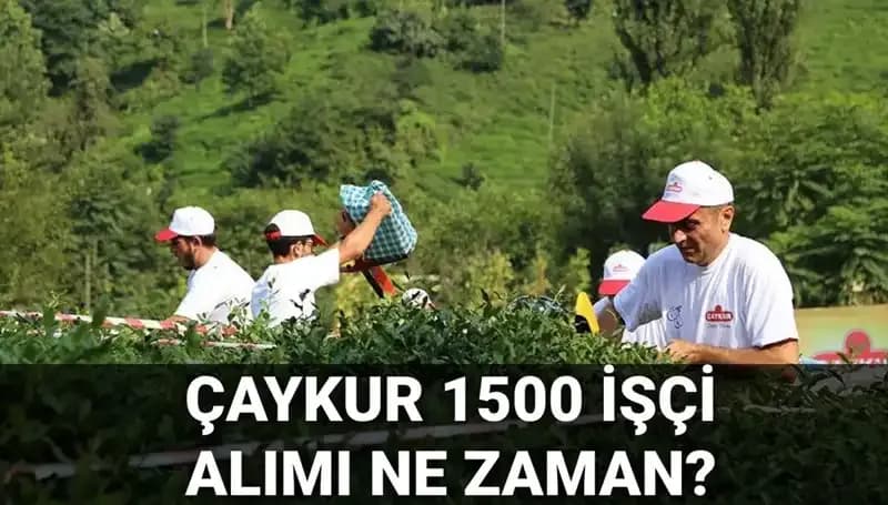 Çaykur İşçi Alımı İçin Başvuru Tarihleri ve Detaylar Açıklandı!
