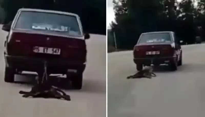 Otomobilin Arkasında Sürüklenen Köpek: İnsanlık Dışı Bir Olay