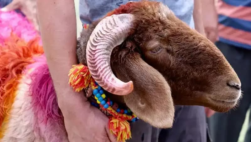 Kurban Bayramı Ne Zaman? Bayrama Kaç Gün Kaldı?