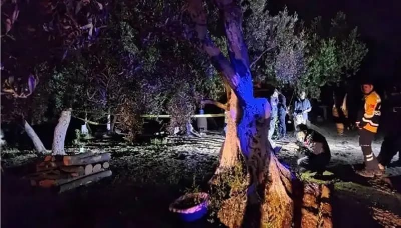 Çiftlikteki Baltalı Vahşet: Olayın Ardındaki Gerçek ve İlk Tutuklama