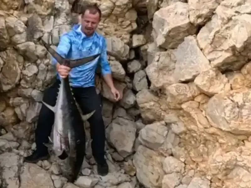 Saros Koyu'nda Dev Balık Avlama Macerası: 30 Kilo ile Rekor Kırıldı