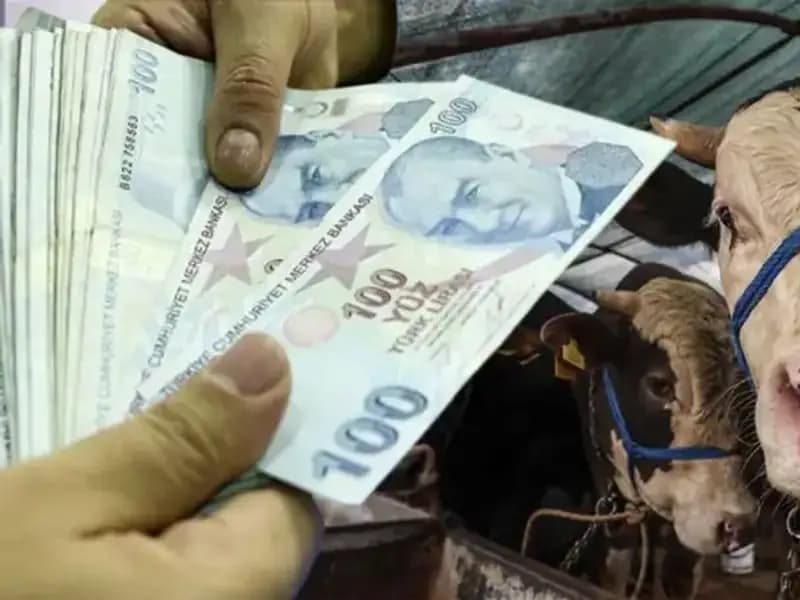 Kurban Bayramı Öncesi Emekli ve Memur Maaşları Ne Zaman Yatacak?