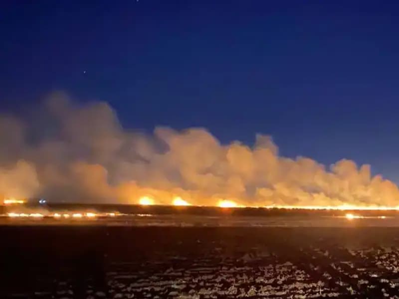 Tarım Alanında Büyük Felaket: Anız Yangını 60 Dönüm Araziyi Kül Etti