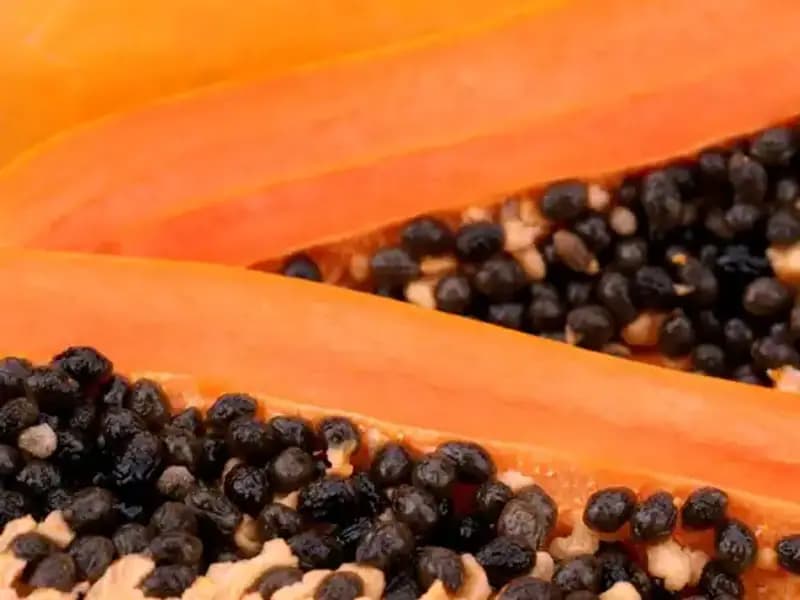 Aç Karnına Yemek: Vücut İçin Doğal Temizlik Yöntemi mi?