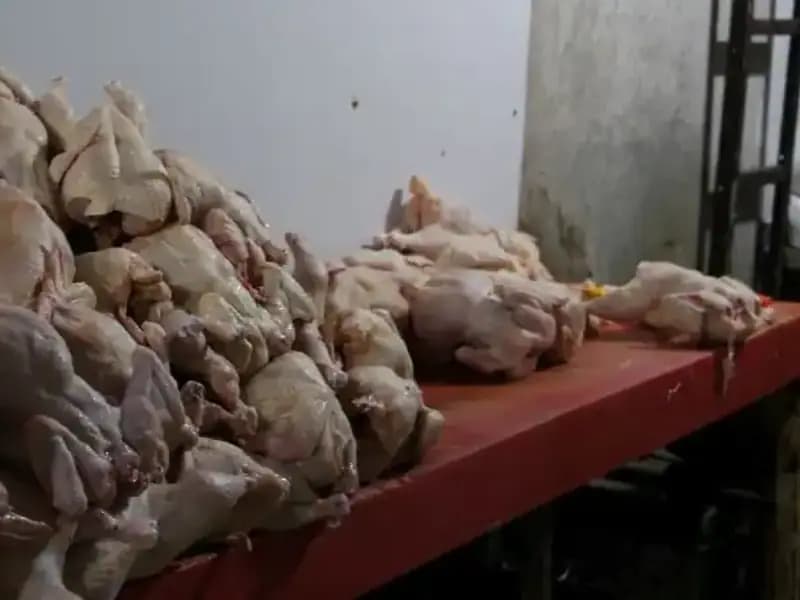 Mide Bulandıran Görüntüler: Döner İmalathanesindeki Skandal Ortaya Çıktı