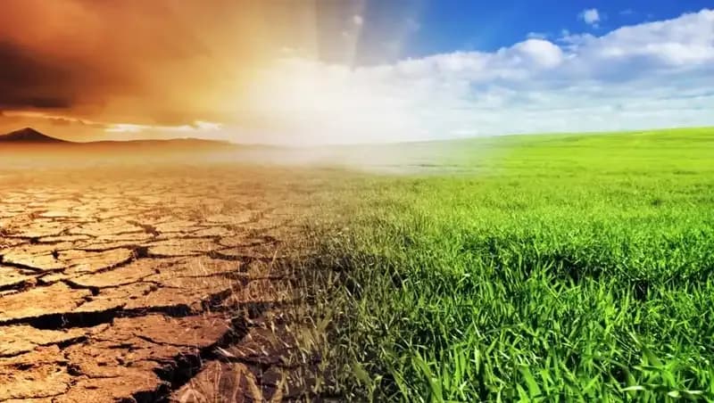 İklim Kanunu Nedir? Geleceği Şekillendiren Önemli Maddeler