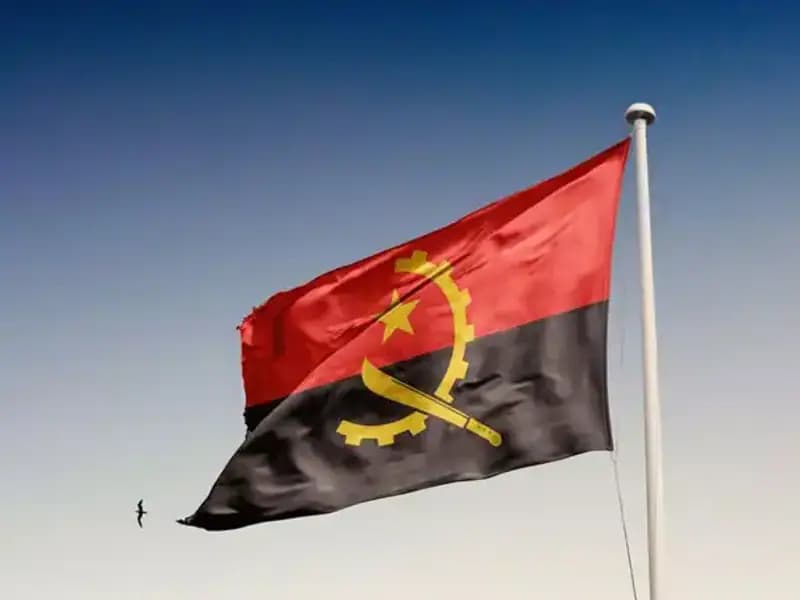 Angola'ya Giremeyen Siyasilerin Hükümeti Gözaltına Alınan 20 Kişi ile Sarsıldı