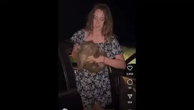 Yavru Hayvanı Anneden Ayırmanın Zorlukları ve Sığınma Hikayesi