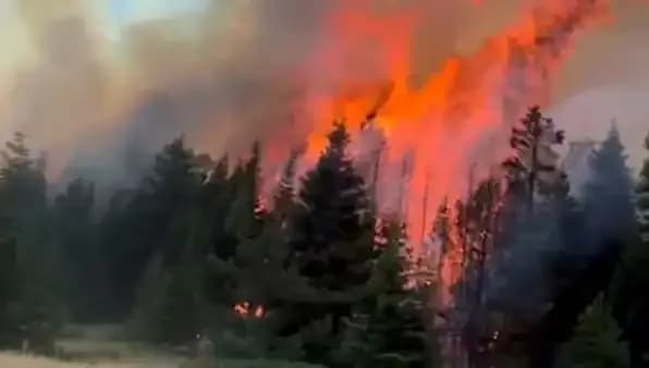 Çankırı’da Orman Yangını: Ekipler Seferber Oldu, Alevler Kontrol Altında