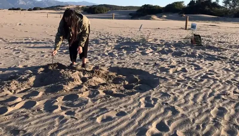 Gece Sahillere Giriş Yasaklandı: Cezası 557 Bin TL ile Yüz Yüze Kalabilirsiniz