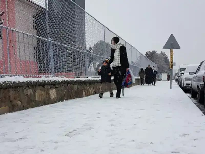 İlkbaharda Kış Manzarası: Bir İl Nasıl Beyaza Büründü?