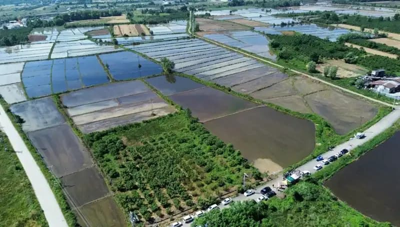 Osmanlı Saray Mutfağının Eşsiz Lezzetleri Toprakla Yeniden Buluştu