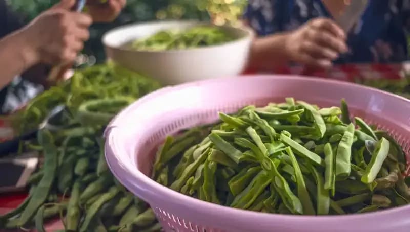 İstanbul'da Taze Fasulye Fiyatları Uçuşa Geçti: Nedenleri ve Etkileri