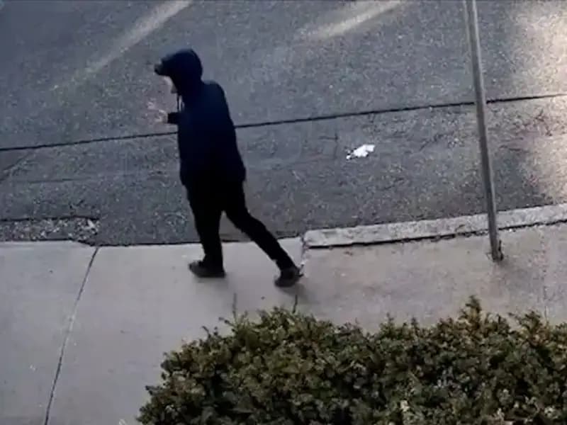 ABD'de Eğitim Gören Türk Öğrencinin Gözaltına Alınmasının Arkasındaki Sebepler