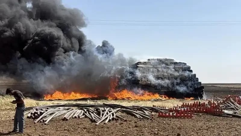 Mardin'de Anız Yangını: Tarım Alanlarını Tehdit Eden Felaket