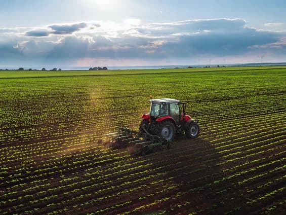 Ekonomik Büyüme: Tarım Sektörünü Neden Kurtaramıyor?