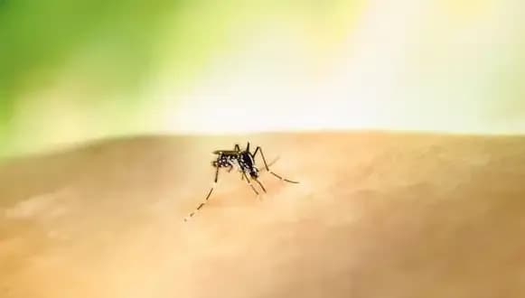 Kolombiya’da Sarıhumma Tehlikesi: Cumhurbaşkanı Petro’dan Vatandaşlara Aşı Uyarısı