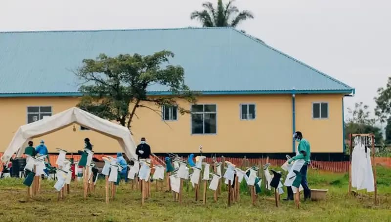 DSÖ, Marburg Virüsü Salgınının Resmen Sona Erdiğini Duyurdu!