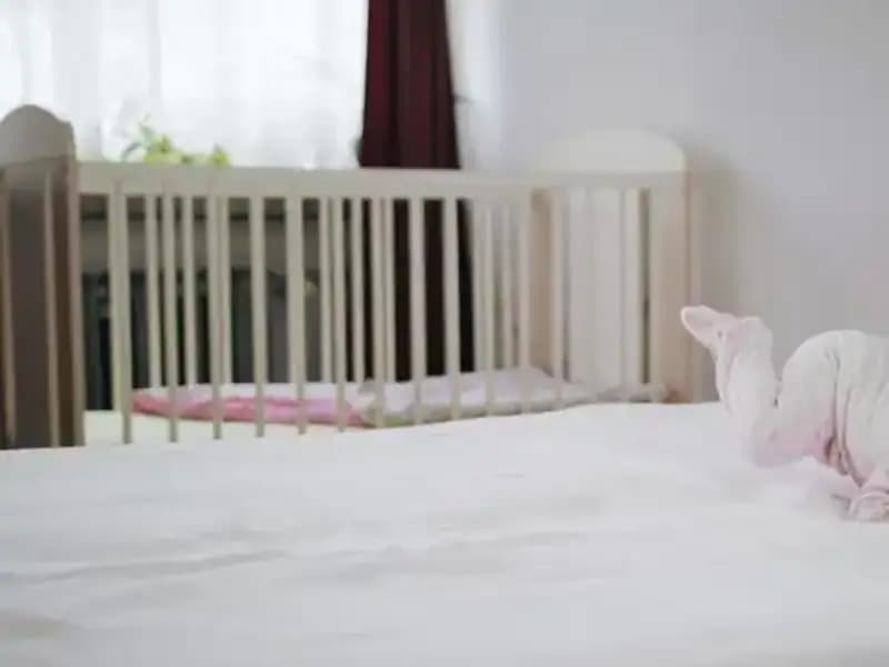 Bebek Yataklarında Gizli Tehlike: Sağlıksız Malzeme Zihinleri Kurcalıyor