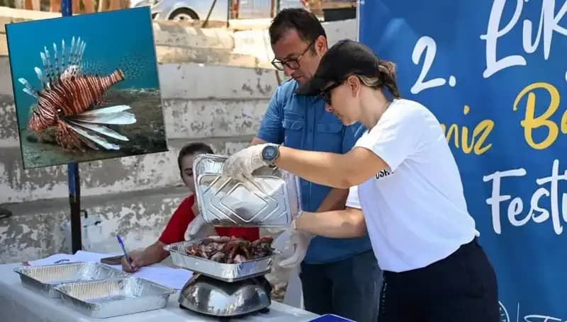 Antalya'da İstilacı Aslan Balığı Avlama Yarışması: Doğaya Katkı Sağlayın!