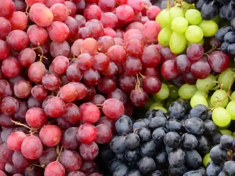Yeşil Üzüm Mü, Siyah Üzüm Mü? Sağlığınıza En İyi Gelen Hangisi?