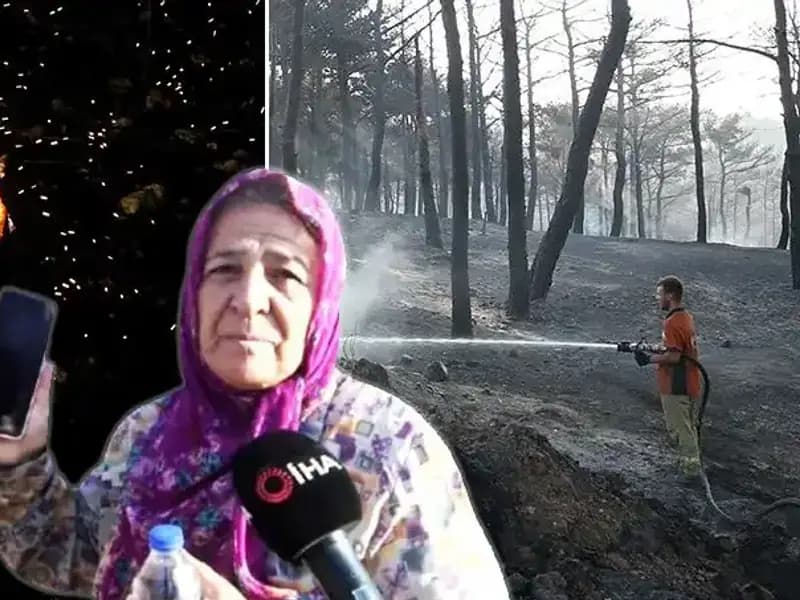 Çanakkale Orman Yangınları Sonuçlandı: Kontrol Altına Alındı, Kayıplar Gün Yüzüne Çıkıyor