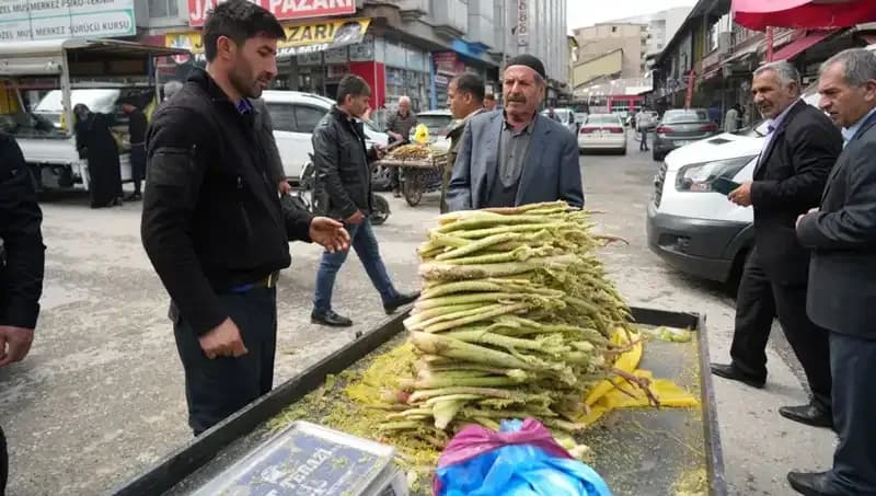 Dağlık Alanlardan Toplanan Şekerin Sağlık Faydaları: Kanser ve Mide Hastalıklarına İyi Geliyor