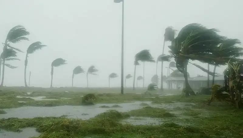 Çin'in Başkenti Pekin'i Sarsan Kuvvetli Rüzgarın Etkileri Neler?