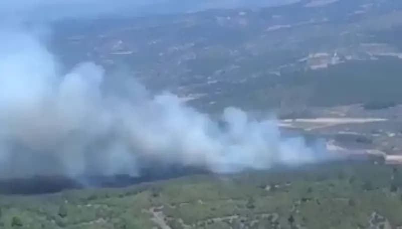 Gazipaşa'da Flaş Gelişme: Orman Yangını Korkuttu, Söndürme Çalışmaları Başladı!