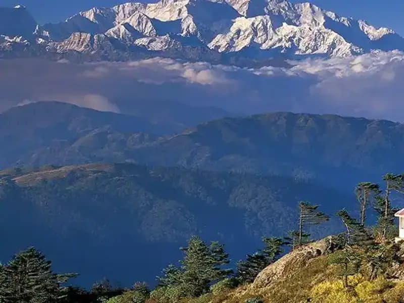 Pakistanlı Kadın Dağcı, Dünyanın En Yüksek 12 Zirvesini Fethetti