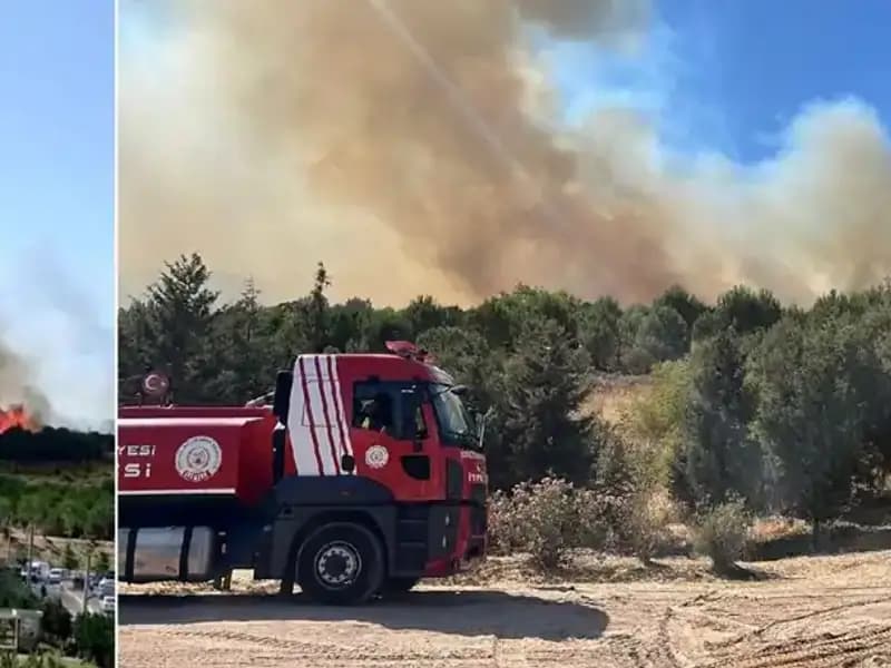 Gebze'de Orman Yangını! Alevler Tehdidi Büyütüyor